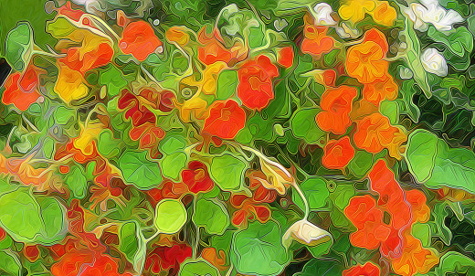 939560 (a): :2048x1187